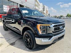 فۆرد F-150